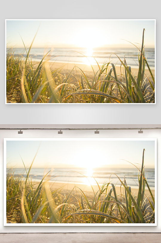 海滩田地阳光沙滩广阔森林森林背景-众图网