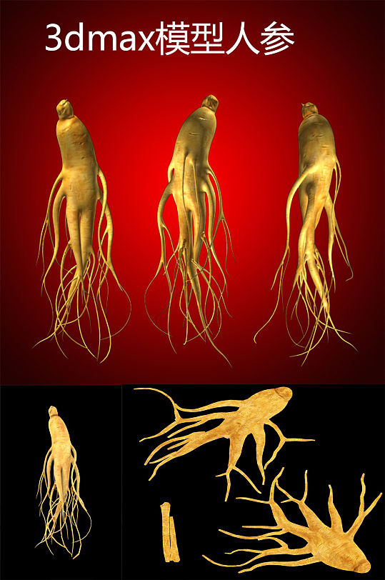 3dmax模型人参-众图网
