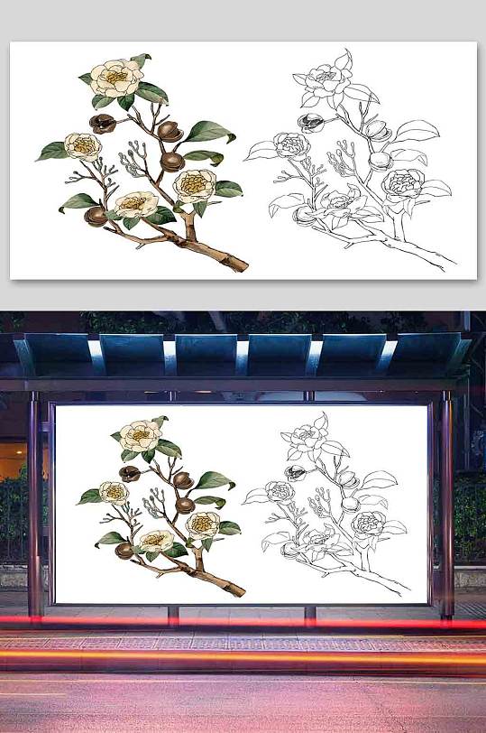 茶花插画手绘图片