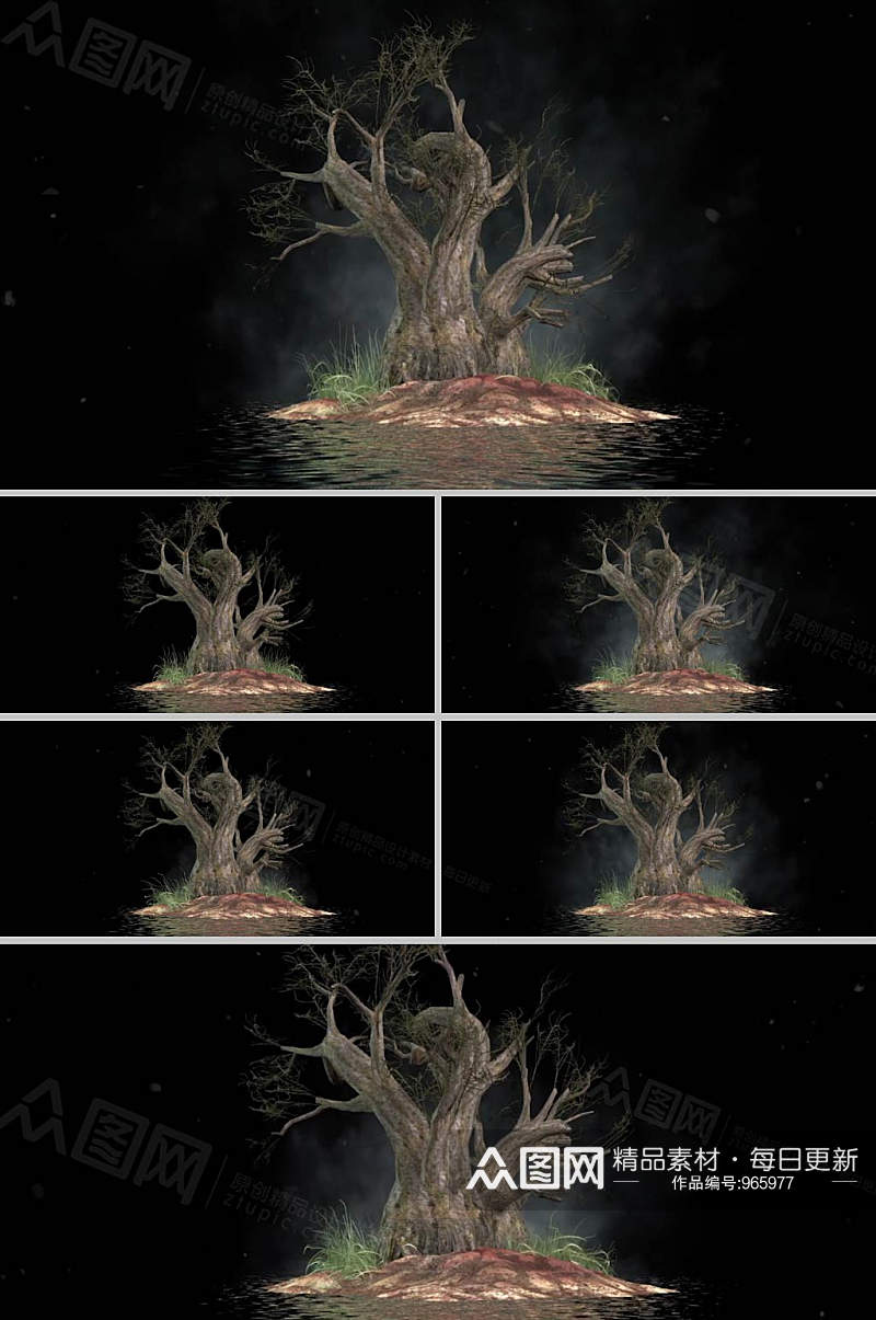 水上枯木树木展示抠像视频素材