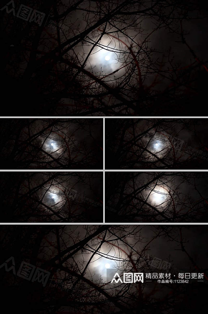 黑夜树枝月亮实拍视频素材素材