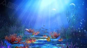 卡通海底世界背景展示视频-众图网