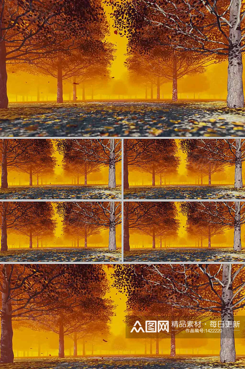 黄昏景色下树木展示背景视频素材