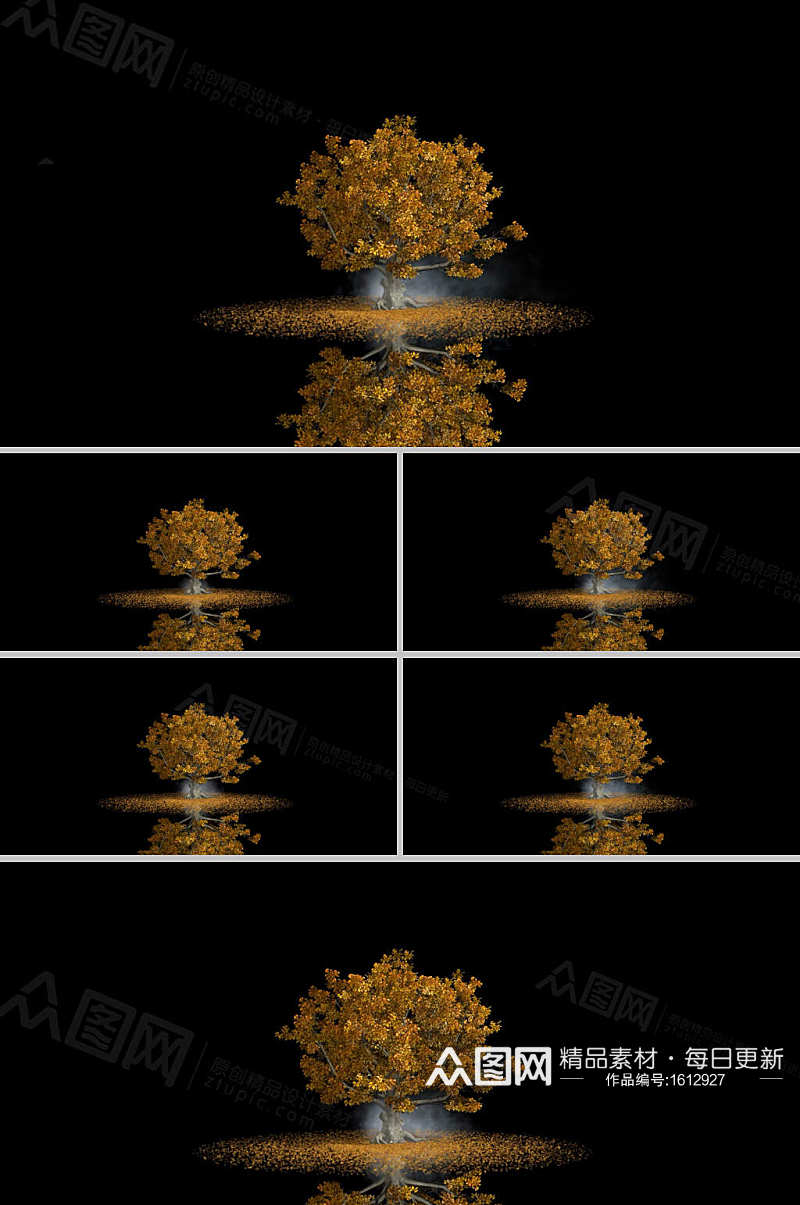 秋天树木落叶景色合成视频素材
