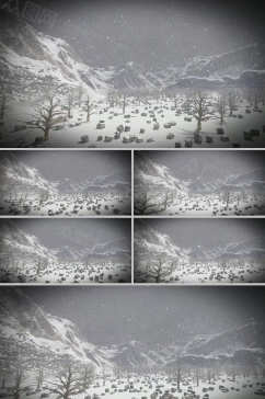 雪景下森林景色背景视频