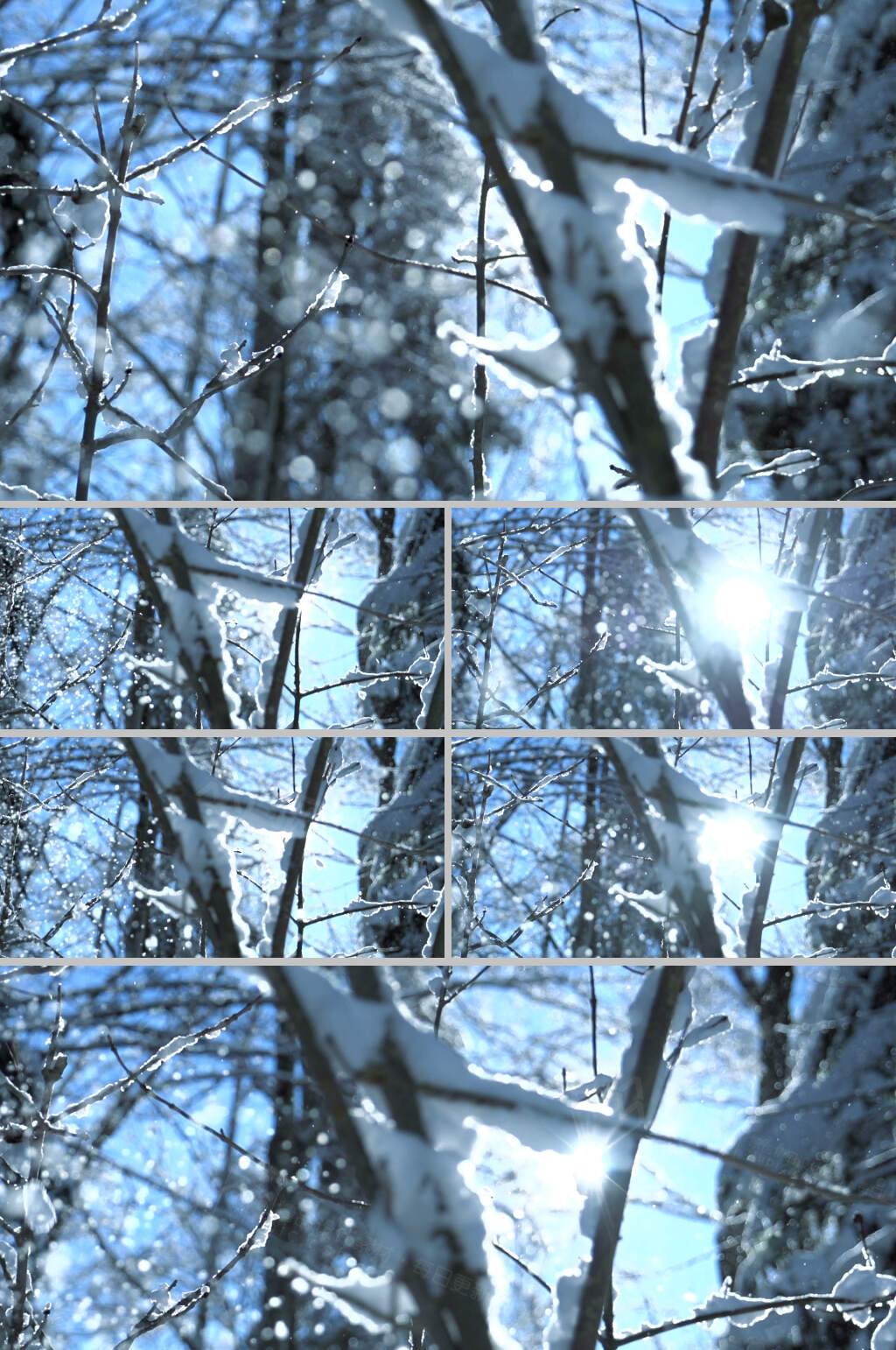 超清特写树林里下雪实拍视频素材素材