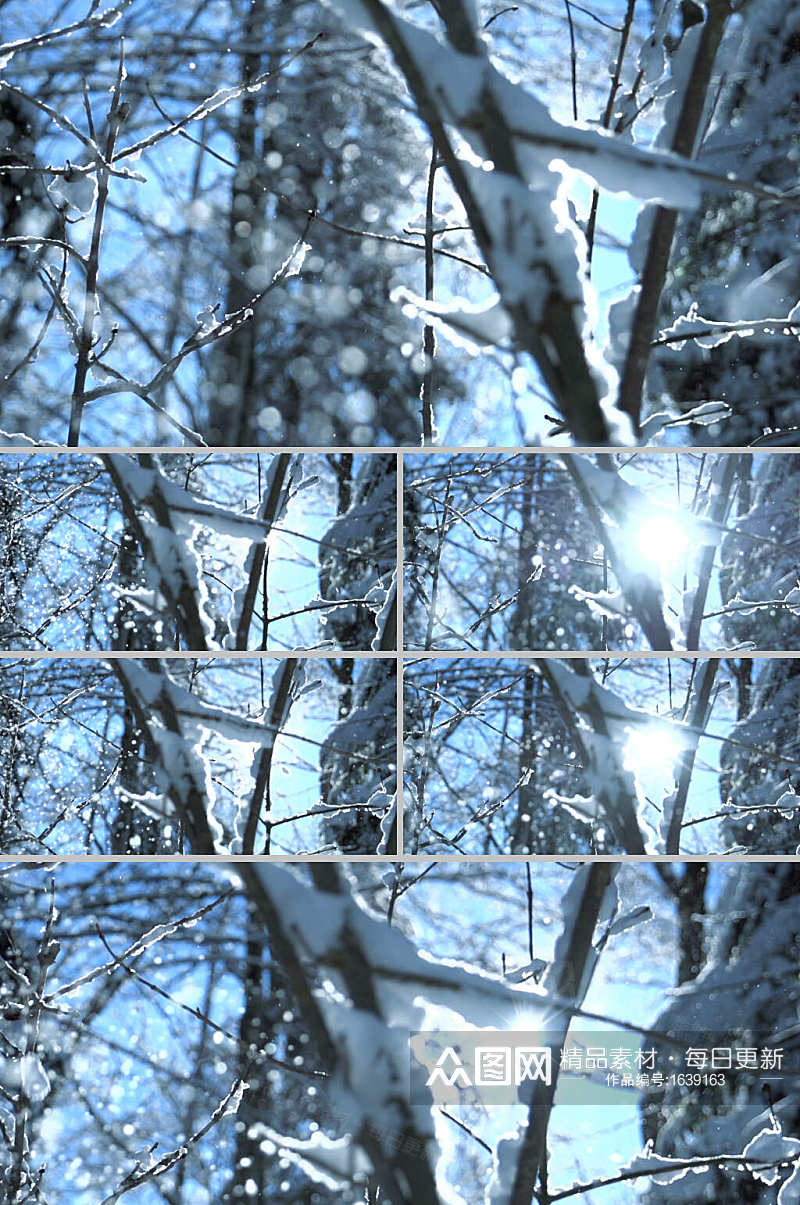 超清特写树林里下雪实拍视频素材素材