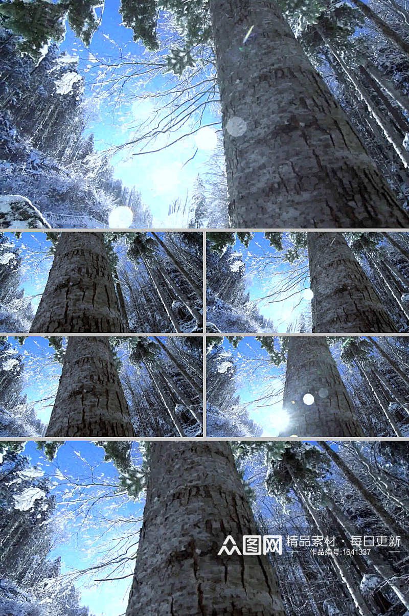 美丽的森林下雪落雪视频素材素材