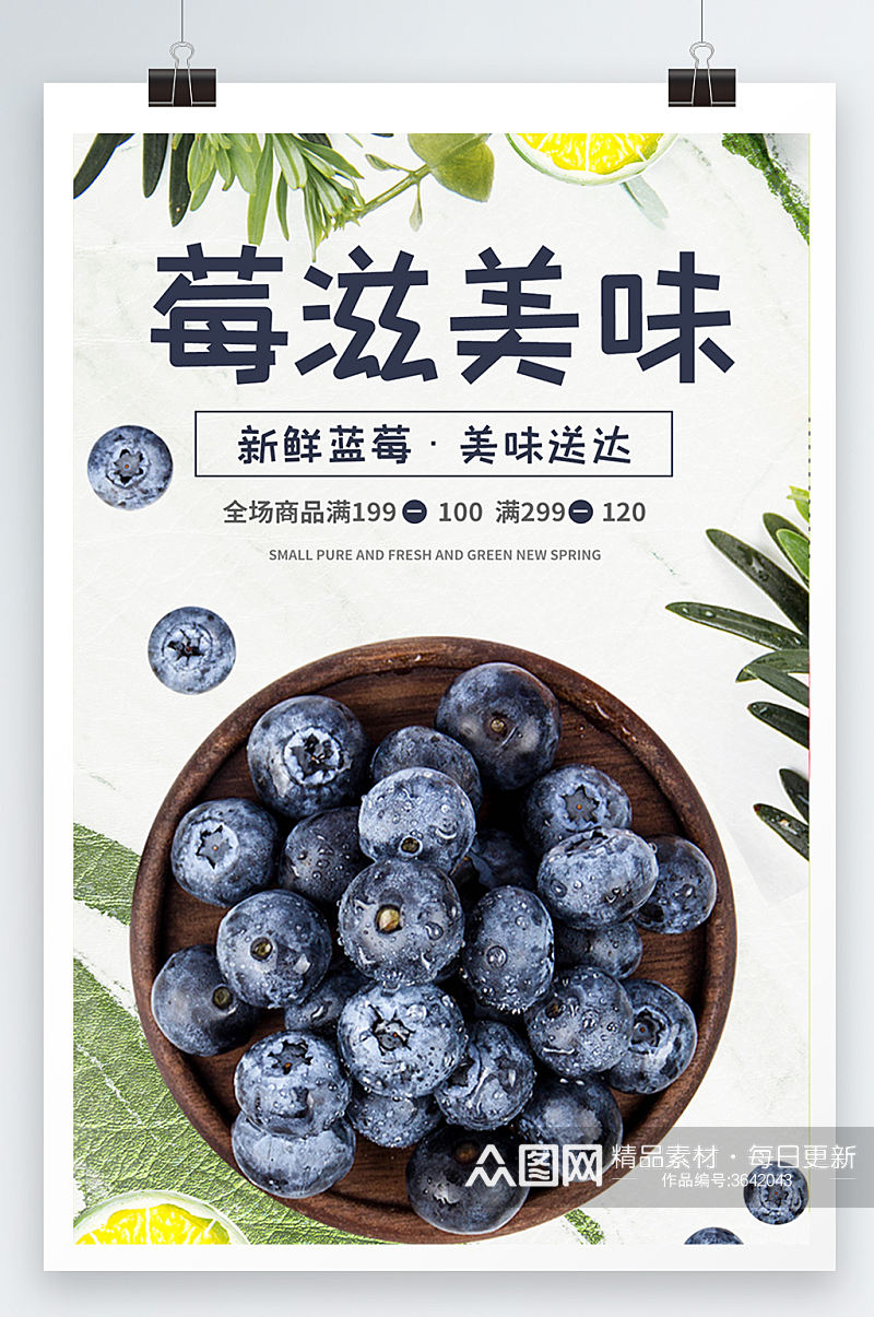 蓝莓美味食物产品宣传海报设计素材