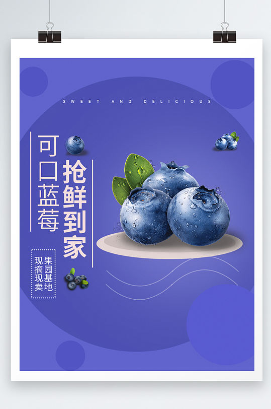 蓝莓果蔬促销活动海报