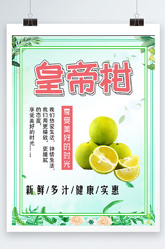 皇帝柑水果宣传促销海报
