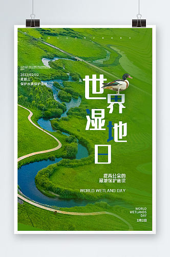 创意大气简约世界湿地日节日保护环境海报