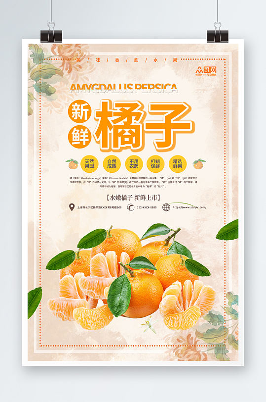 新鲜橘子桔子水果海报