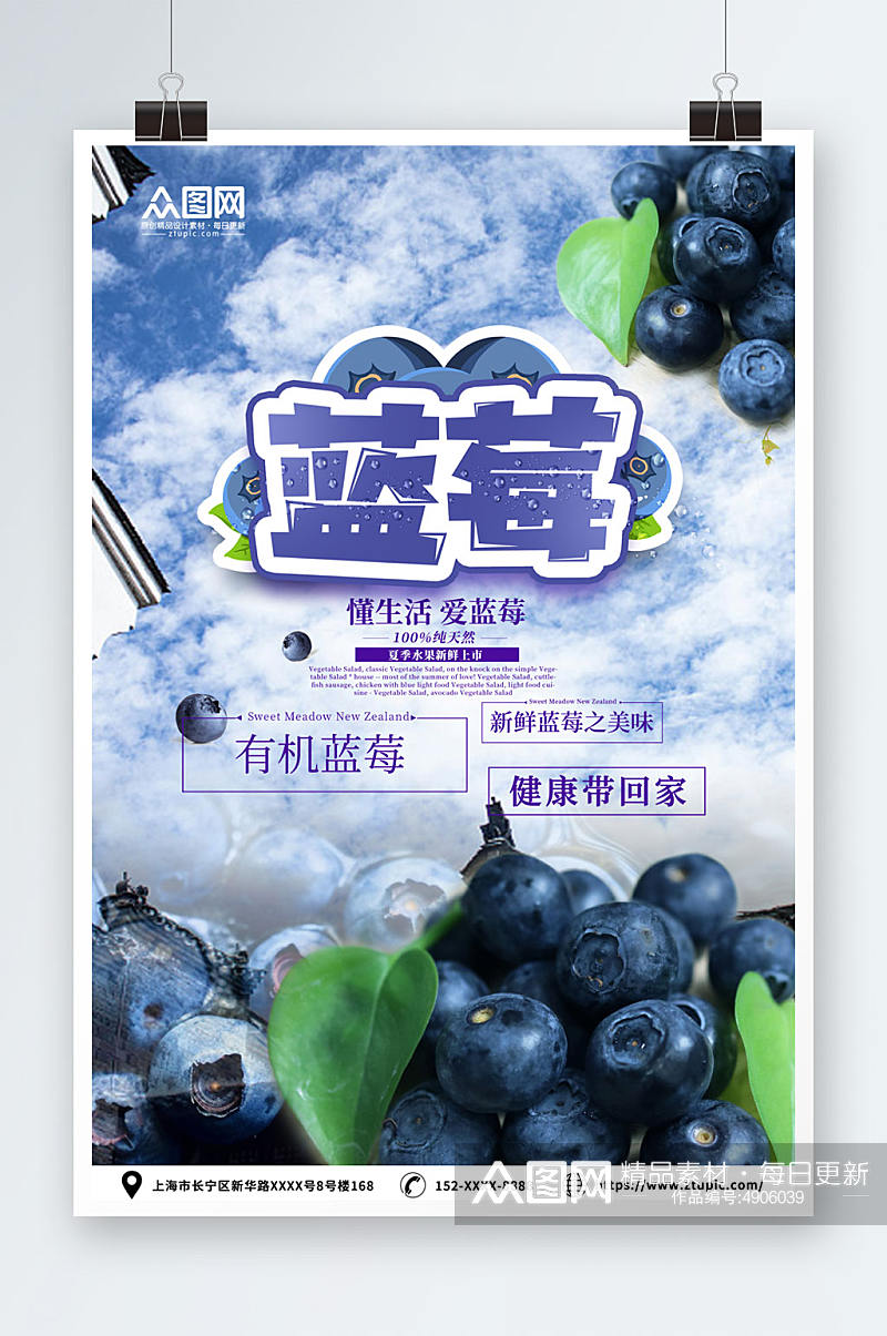 有机蓝莓水果店图片海报素材