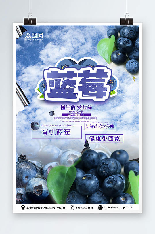 有机蓝莓水果店图片海报