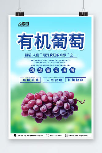 简约蓝色葡萄提子果园采摘活动海报