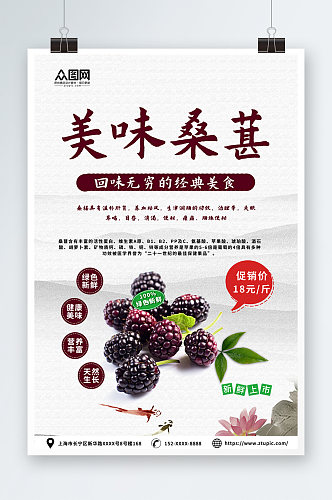 美味桑葚果园水果采摘促销海报