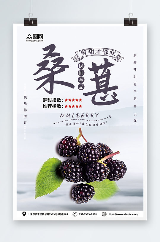 鲜甜桑葚果园水果采摘促销海报
