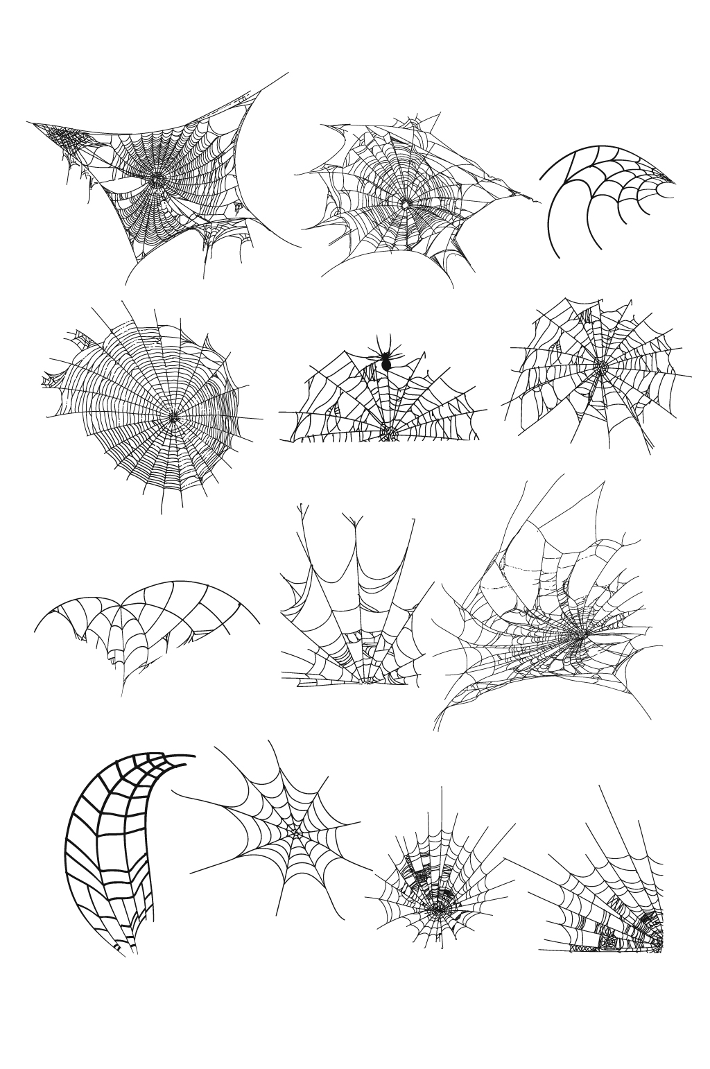 蜘蛛网矢量设计元素