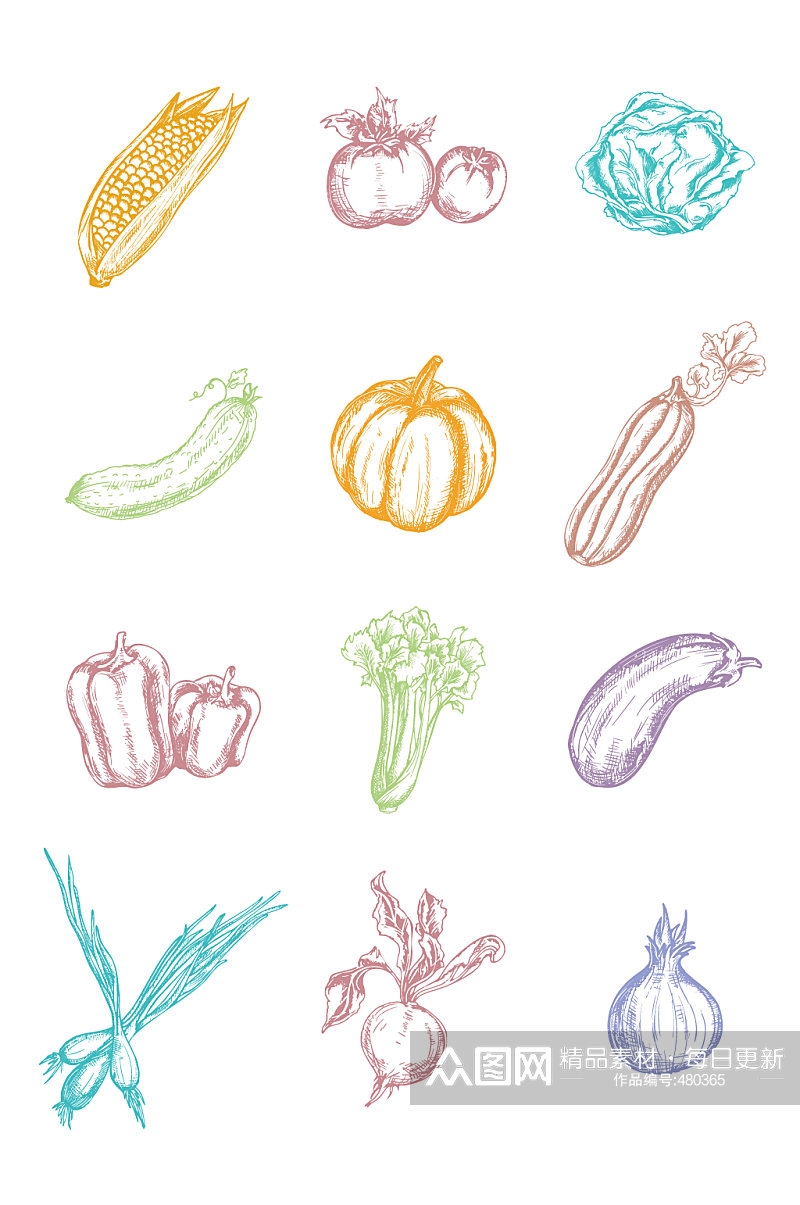 手绘线描蔬菜元素素材