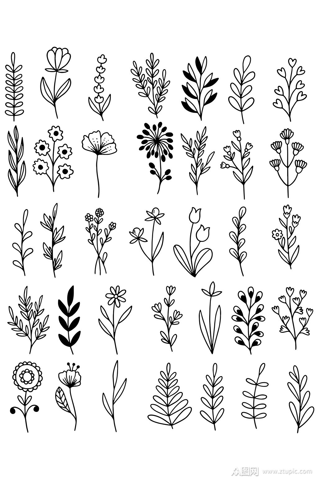 手绘线描花卉元素素材