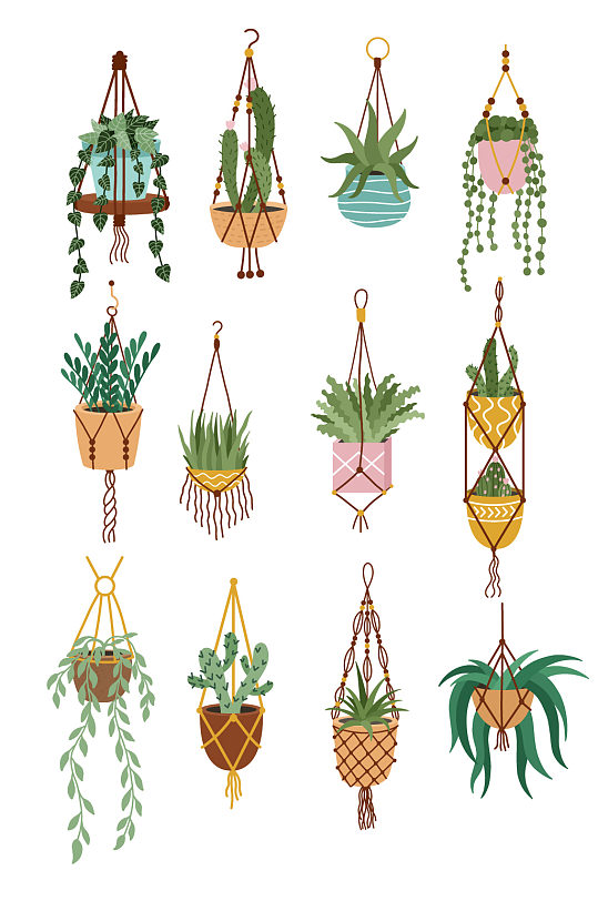 手绘吊兰盆栽花卉-众图网