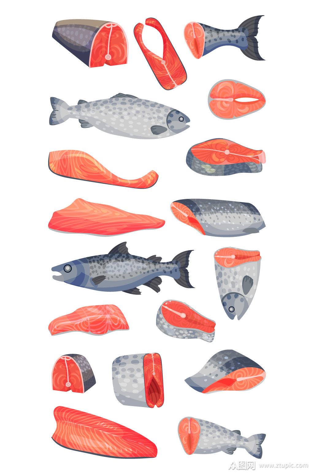 解刨鱼肉部位矢量插画