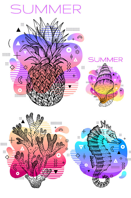 水彩盛夏水果海洋生物插画