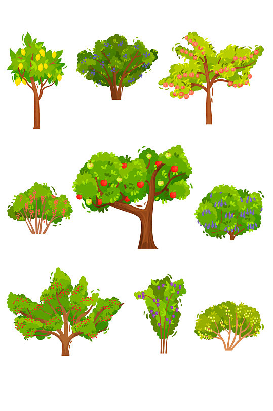 果树结果矢量插画