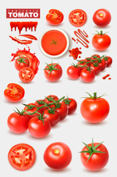 西红柿写实矢量元素