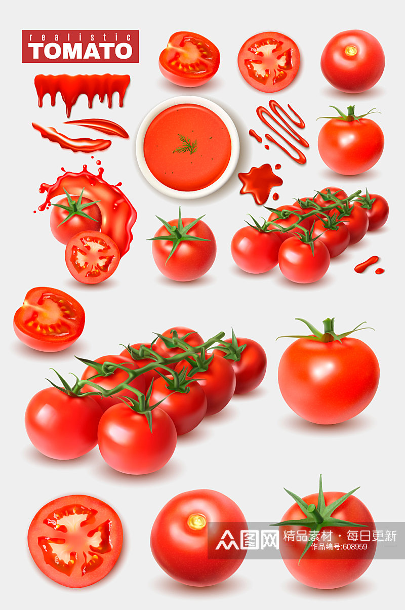 西红柿写实矢量元素素材