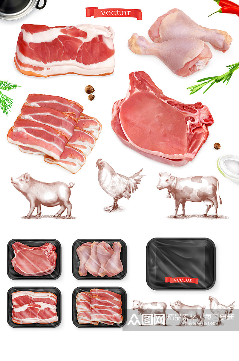 写实风猪肉牛肉鸡肉元素素材