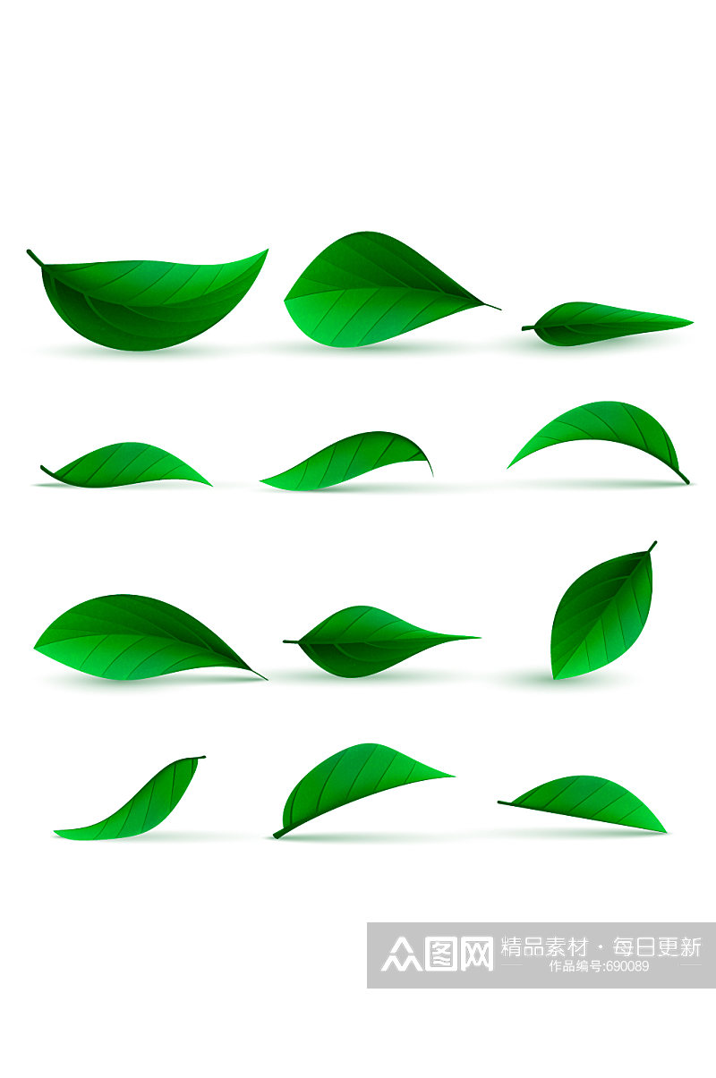 绿色树叶形态矢量元素素材