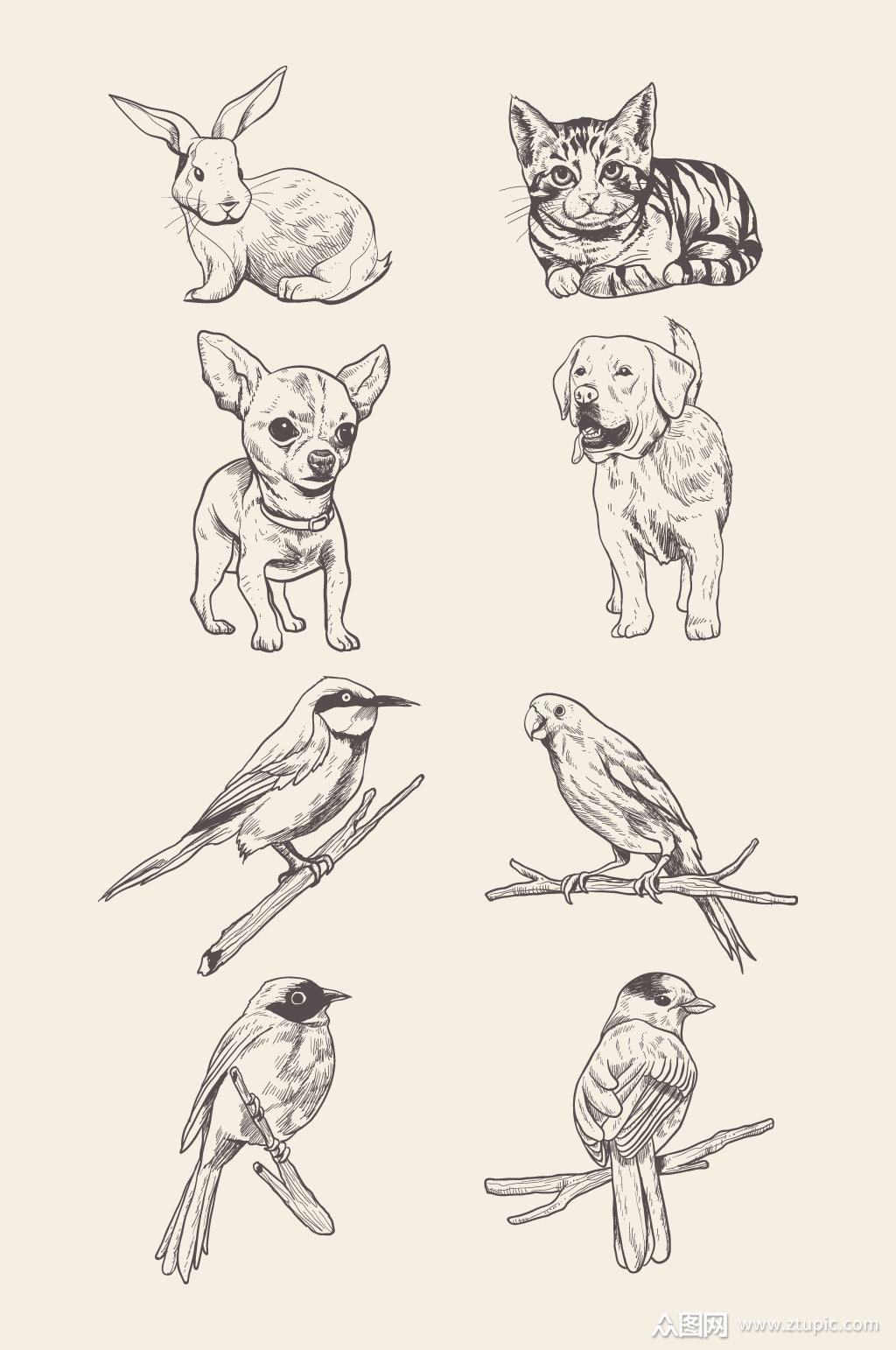 手绘素描动物元素素材