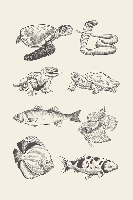 手绘动物海龟蛇鱼蜥蜴元素