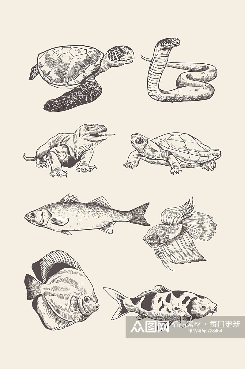 手绘动物海龟蛇鱼蜥蜴元素素材