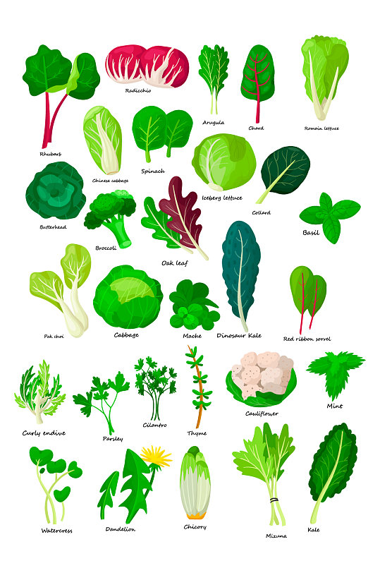 绿色蔬菜矢量元素