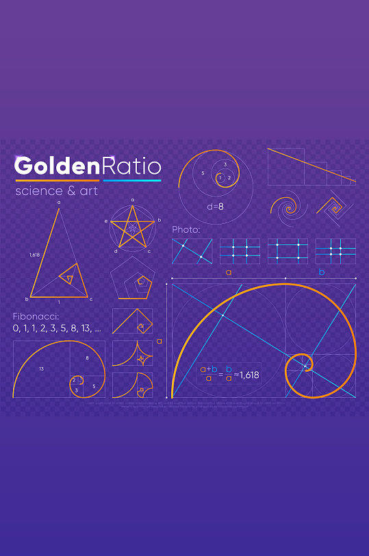 黄金比例数学典线分割元素