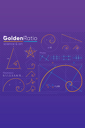 黄金比例数学典线分割元素