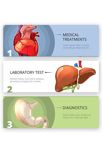 医疗诊断器官矢量banner