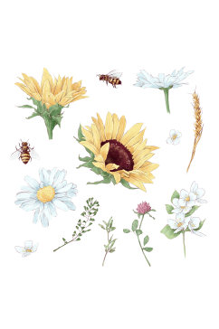 菊花向日葵蜜蜂手绘元素