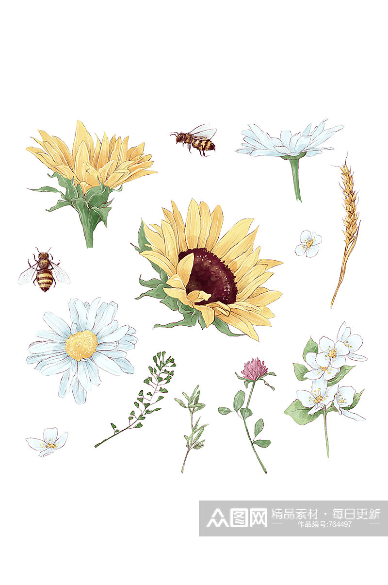菊花向日葵蜜蜂手绘元素素材