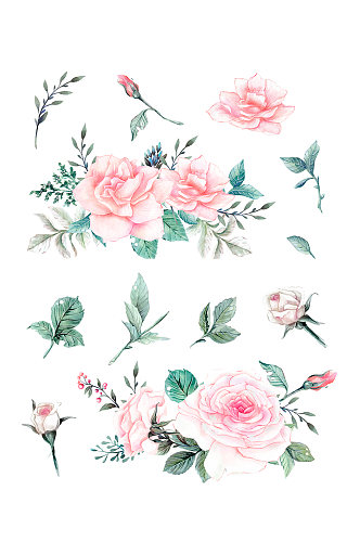 手绘彩铅玫瑰花卉元素