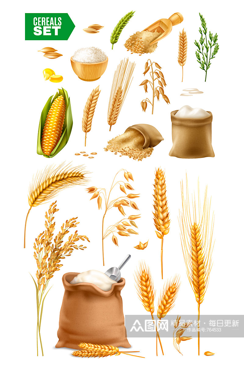 水稻小麦玉米粮食矢量元素素材