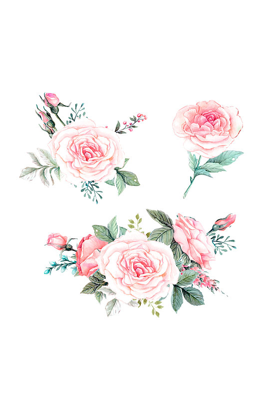 手绘月季玫瑰花卉元素