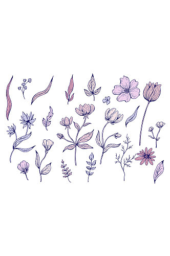 手绘紫色花卉插画元素