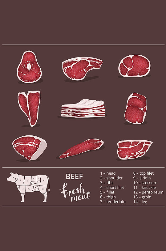 牛肉分割部位矢量插图