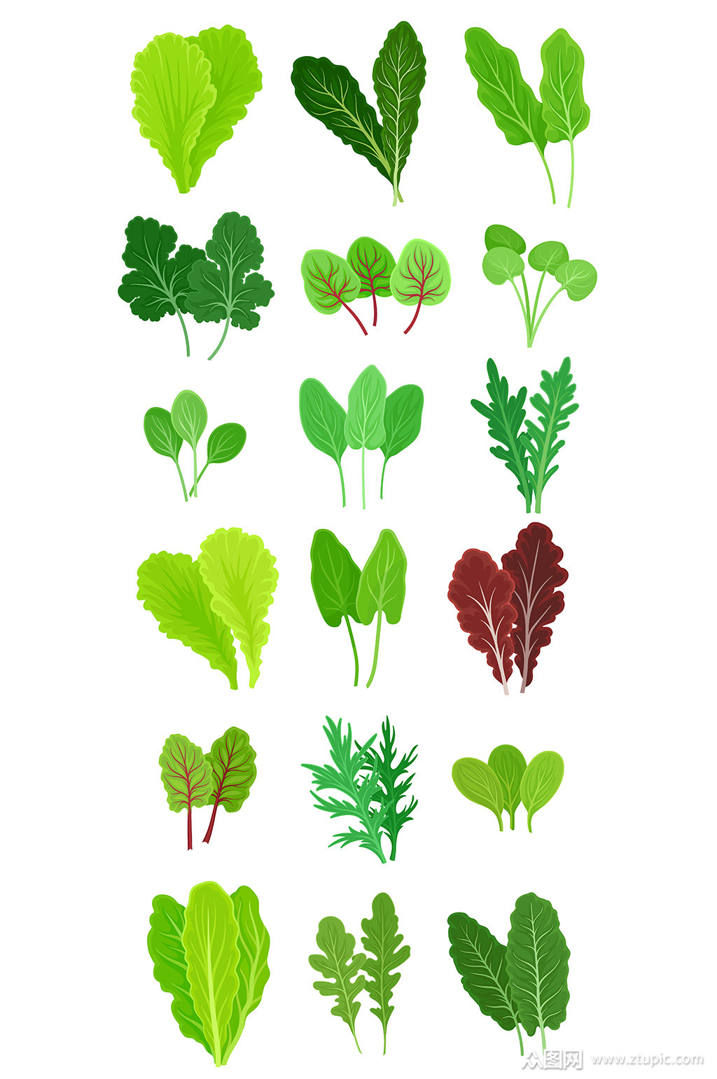 蔬菜菜叶矢量元素