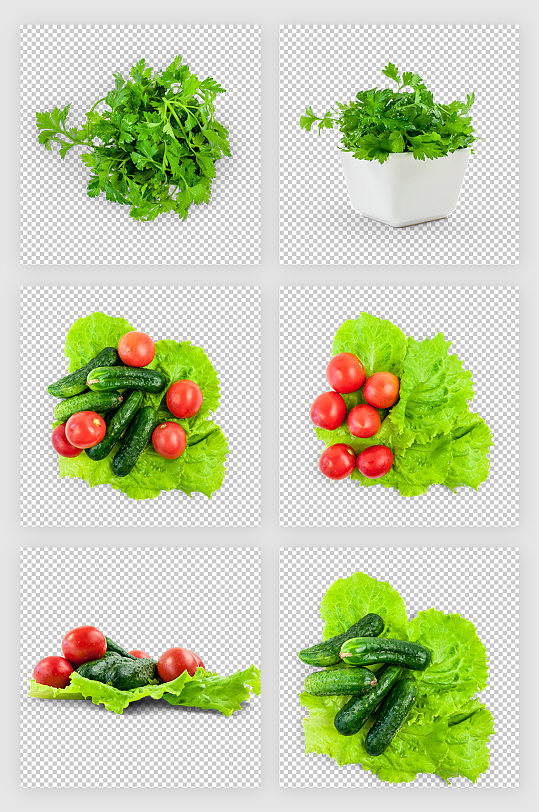 香菜黄瓜生菜西红柿蔬菜免抠元素