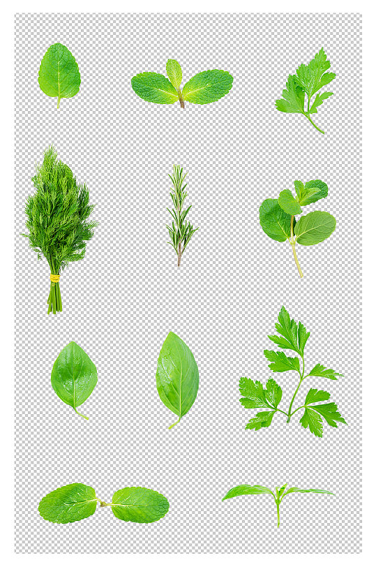 绿植蔬菜叶片免抠元素